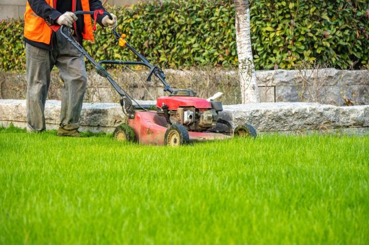 Nous vendons des appareils de tonte de qualité.